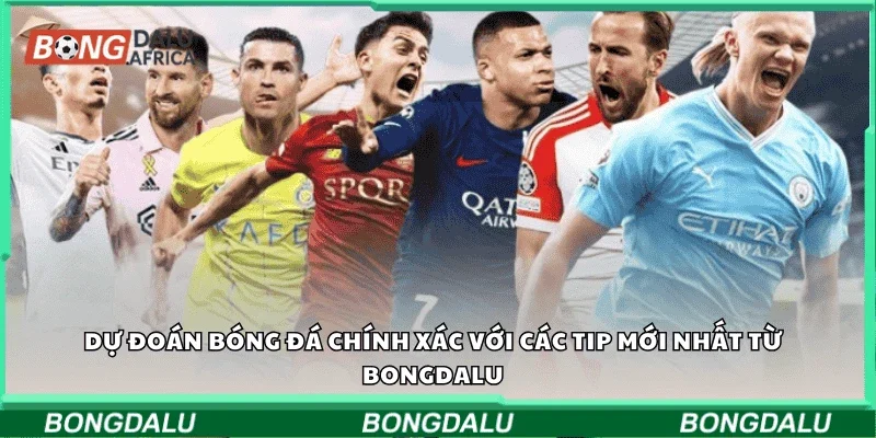 Dự đoán bóng đá chính xác với các tip mới nhất từ Bongdalu