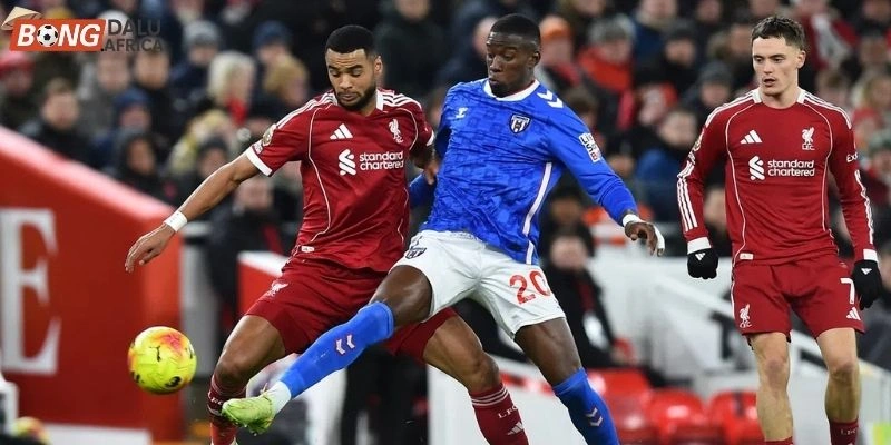 Cập nhật nhanh phong độ cặp đấu Sunderland vs Liverpool