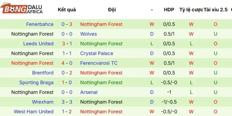 Kết quả thi đấu gần đây của đội khách Nottingham