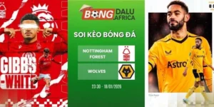 Soi Kèo Bóng Đá Nottingham Forest Vs Wolves – NHA, 12/02/2026